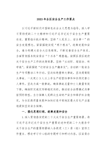 20XX年全区安全生产工作要点