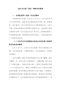 20XX年全国两会精神传达提纲