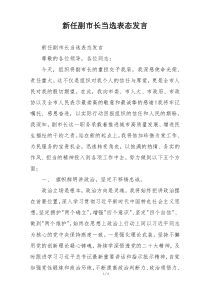新任副市长当选表态发言