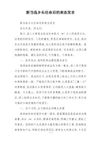 新当选乡长任命后的表态发言