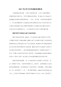 20XX年全市文化和旅游发展综述