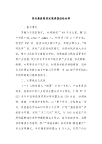 某村集体经济发展典型经验材料