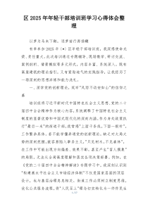 (参考)区2025年年轻干部培训班学习心得体会整理