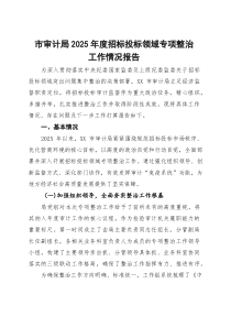 (整理)市审计局2025年度招标投标领域专项整治工作情况报告