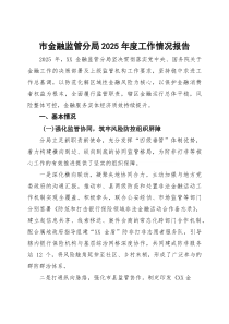 (整理)市金融监管分局2025年度工作情况报告