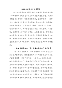 20XX年安全生产工作要点