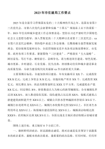 20XX年市住建局工作要点