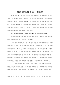 (整理)某局2025年青年工作总结