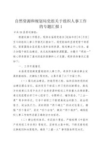 (整理)自然资源和规划局党组关于组织人事工作的专题汇报1