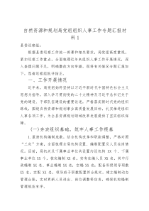 (整理)自然资源和规划局党组组织人事工作专题汇报材料1