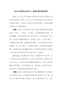 20XX年度组织生活会个人查摆问题及整改清单 (96)