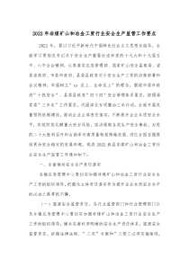 20XX年非煤矿山和冶金工贸行业安全生产监管工作要点