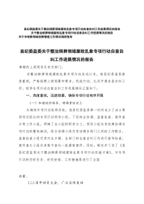 2025年县纪委监委关于整治殡葬领域腐败乱象专项行动自查自纠工作进展情况的报告+殡葬领域收费管理工作