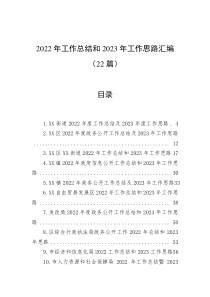 22篇20XX年工作总结和20XX年工作思路汇编