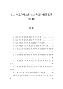 26篇20XX年工作总结和20XX年工作打算汇编