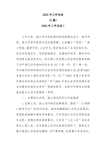 2篇20XX年工作总结