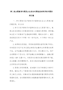 第二批主题教育专题民主生活会对照检查材料具体问题实例汇编