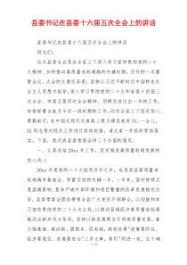 县委书记在县委十六届五次全会上的讲话