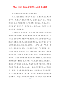 国企2025年安全环保大会报告讲话