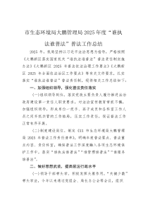 2025年“谁执法谁普法”普法工作总结【生态环境分局】(材料)