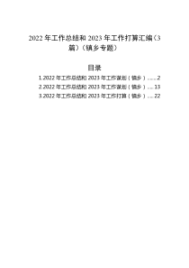3篇20XX年工作总结和20XX年工作打算汇编镇乡专题