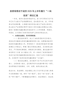 2025年上半年履行“一岗双责”情况汇报【县委常委班子成员】(材料)