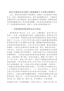 2025年个人党性分析报告【党校干部进修班】【副县长】(材料)