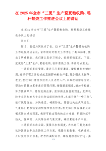 在2025年全市“三夏”生产暨夏粮收购、秸秆禁烧工作推进会议上的讲话