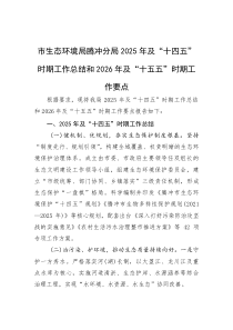 2025年及“十四五”时期工作总结和2026年及“十五五”时期工作要点【生态环境分局】(材料)