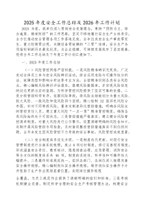 2025年安全工作总结及2026年工作计划(材料)