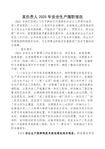 2025年安全生产履职报告【负责人】(材料)