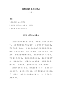 3篇医院20XX年工作要点