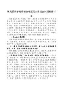 2025年巡察整改专题民主生活会班子对照检查材料【乡镇党委】(材料)