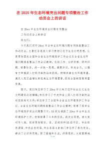 在2025年生态环境突出问题专项整治工作动员会上的讲话