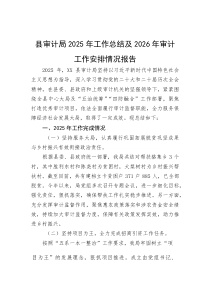 2025年工作总结及2026年审计工作安排情况报告【县审计局】(材料)