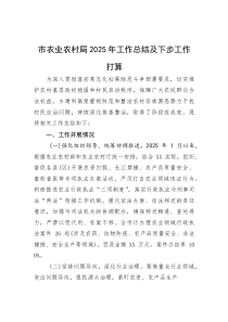 2025年工作总结及下步工作打算【市农业农村局】(材料)