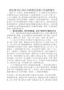 2025年度抓基层党建工作述职报告【乡镇党委书记】(材料)