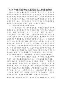 2025年度抓基层党建工作述职报告【党委书记】(材料)