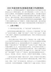 2025年度抓基层党建工作述职报告【区委书记】(材料)