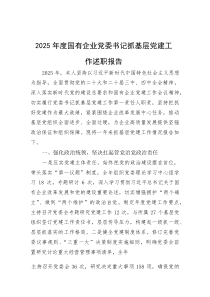 2025年度抓基层党建工作述职报告【国企党委书记】(材料)