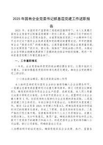 2025年度抓基层党建工作述职报告【国有企业党委书记】(材料)