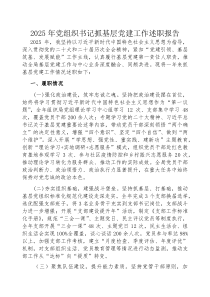 2025年度抓基层党建工作述职报告【局党组书记】(材料)