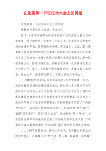 在党委第一书记任命大会上的讲话