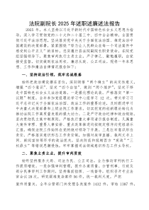 2025年度述职述廉述法报告【法院副院长】(材料)