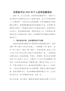 2025年度述责述廉报告【党委副书记】(材料)