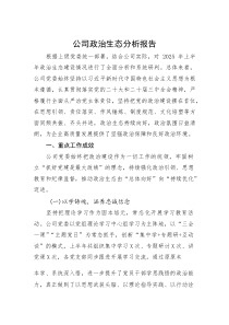 2025年政治生态分析报告【公司】(材料)