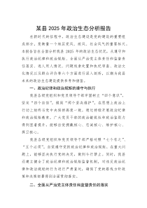 2025年政治生态分析报告【县级】(材料)
