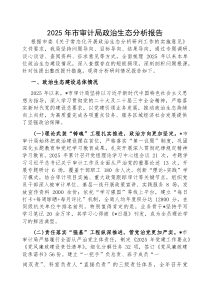2025年政治生态分析报告【市审计局】(材料)