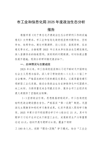 2025年政治生态分析报告【市工业和信息化局】(材料)