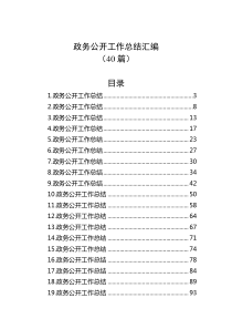 40篇政务公开工作总结汇编